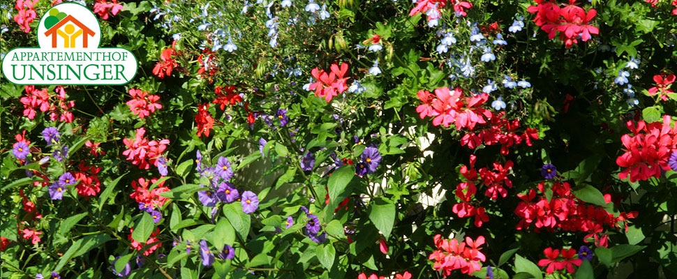 Blumenpracht auf dem Usingerhof in Bad Füssing im Rottaler Bäderdreieck